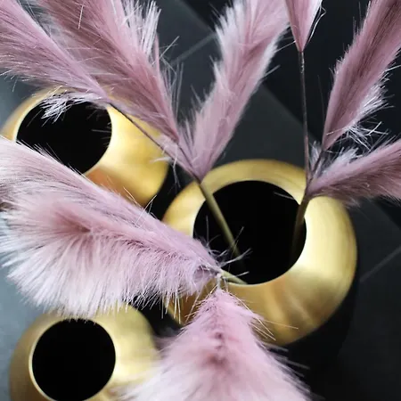 فندق Sellmann's Boutique دورتموند